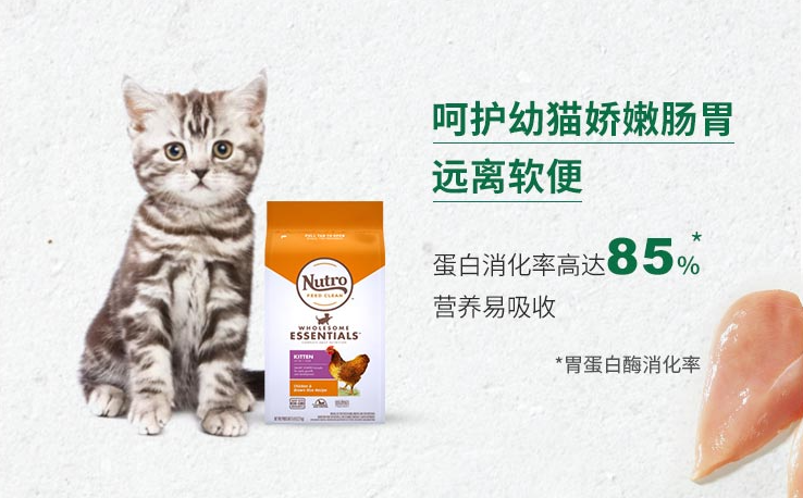 十款适口性好的猫粮推荐