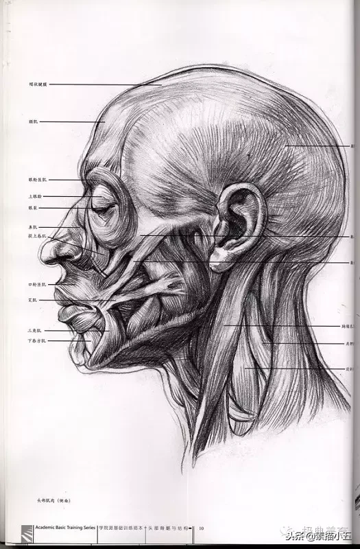 画好头像素描的内功秘籍