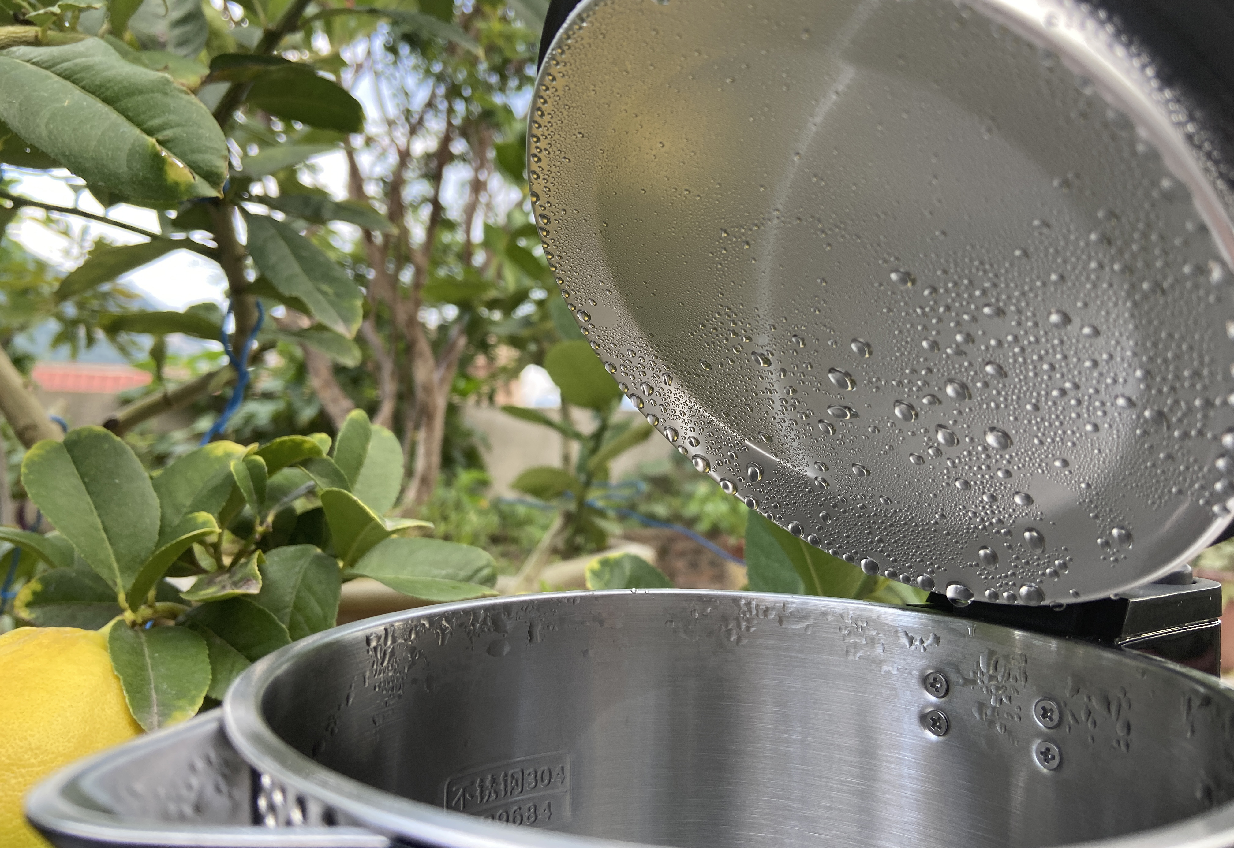 这才叫黑科技，能保温，还能app远程操控，荣耀亲选电热水壶测评