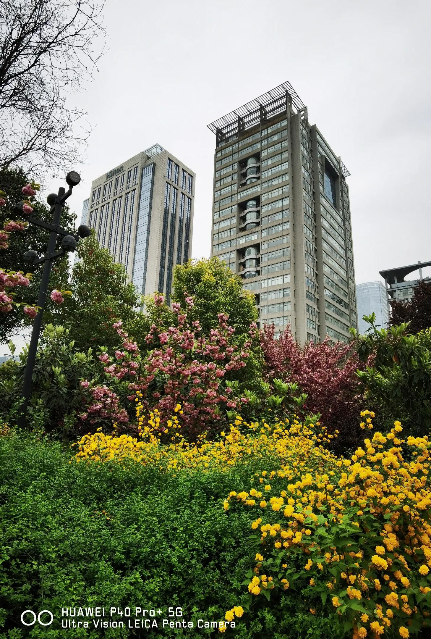 每日一诗《过零丁洋》