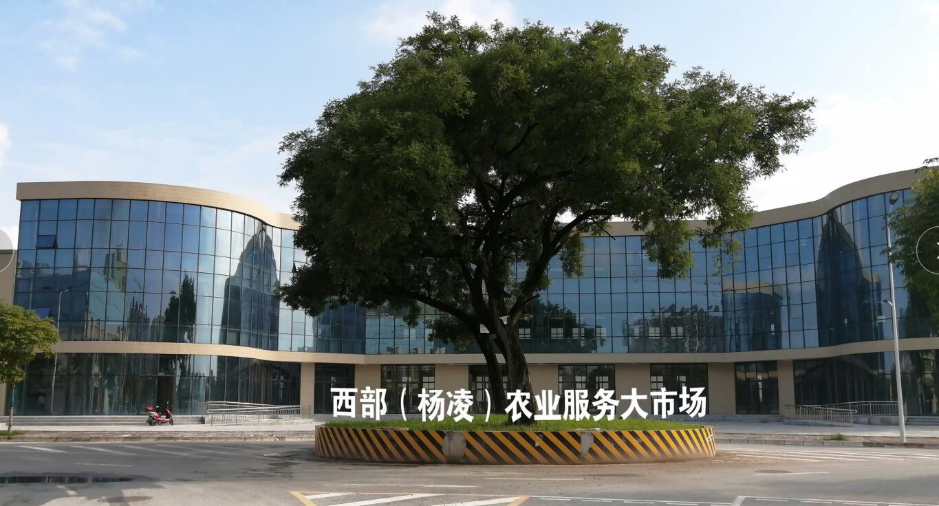 第28届中国杨凌农高会G区将呈现“高精特新”四大亮点