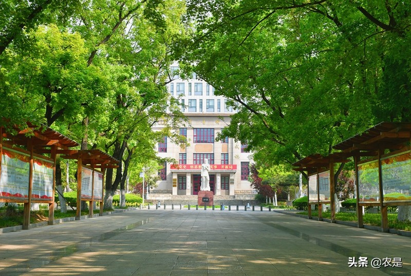 李宁，山东农业大学副教授、硕导，水禽疾病专家