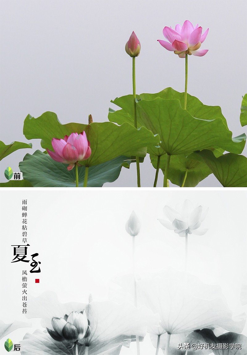 Ps≠专业，手机后期≠低端，选择适合自己的后期工具才是最重要的