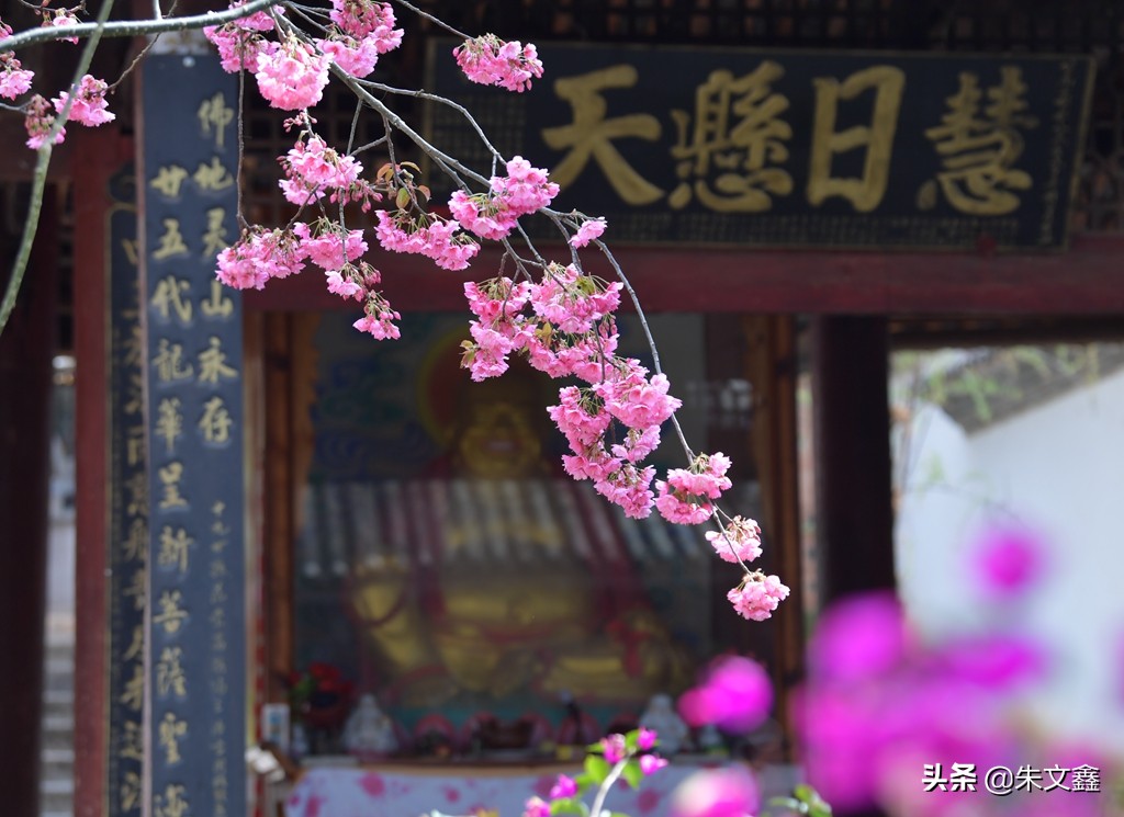 走进千年巍山大小寺，明白了大事不大，小事不小