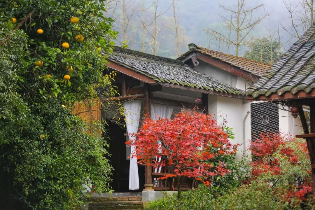 到青城山，解锁夏日最最最清凉的耍法