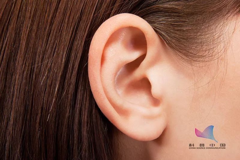 耳朵上有个小洞，是福气、聪明的象征？你可能不知道……