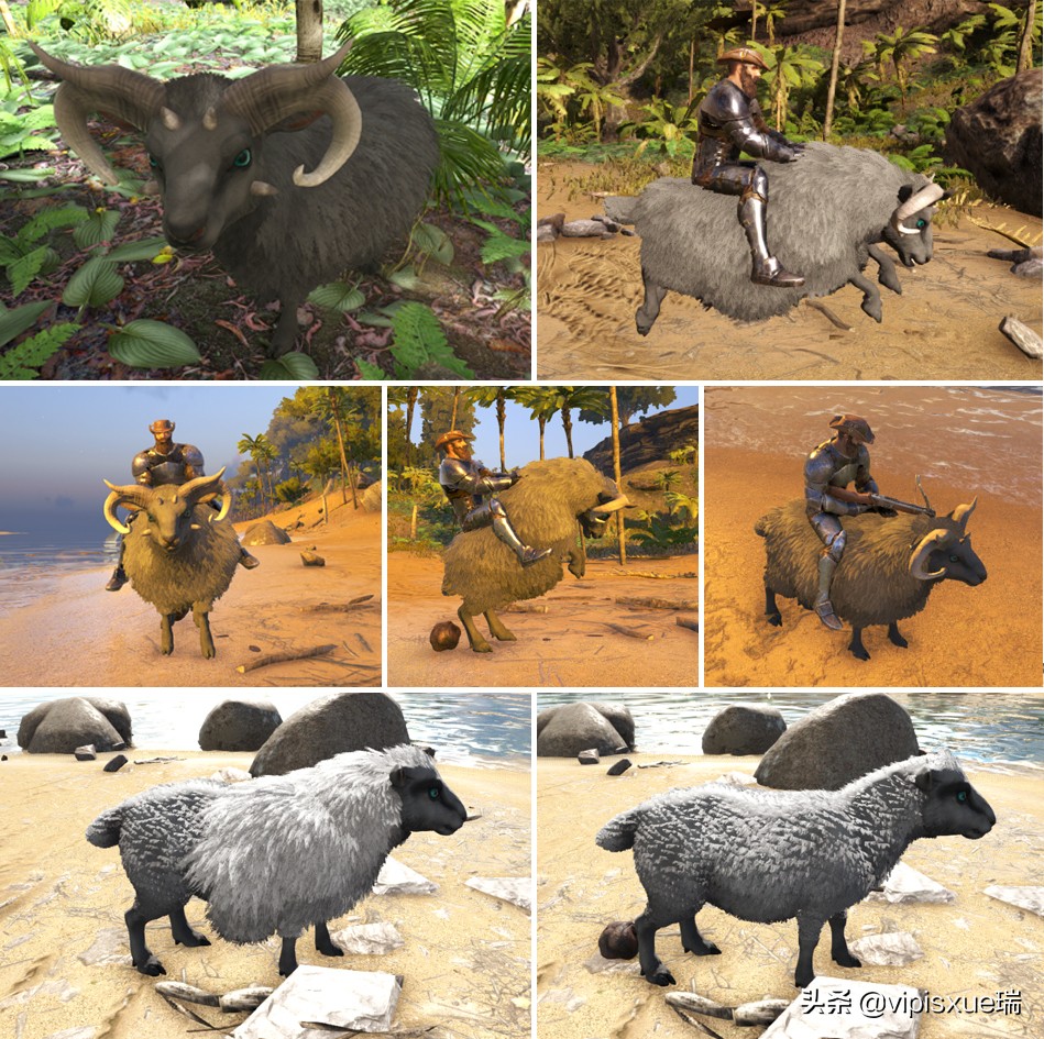 方舟生存进化生物篇—绵羊