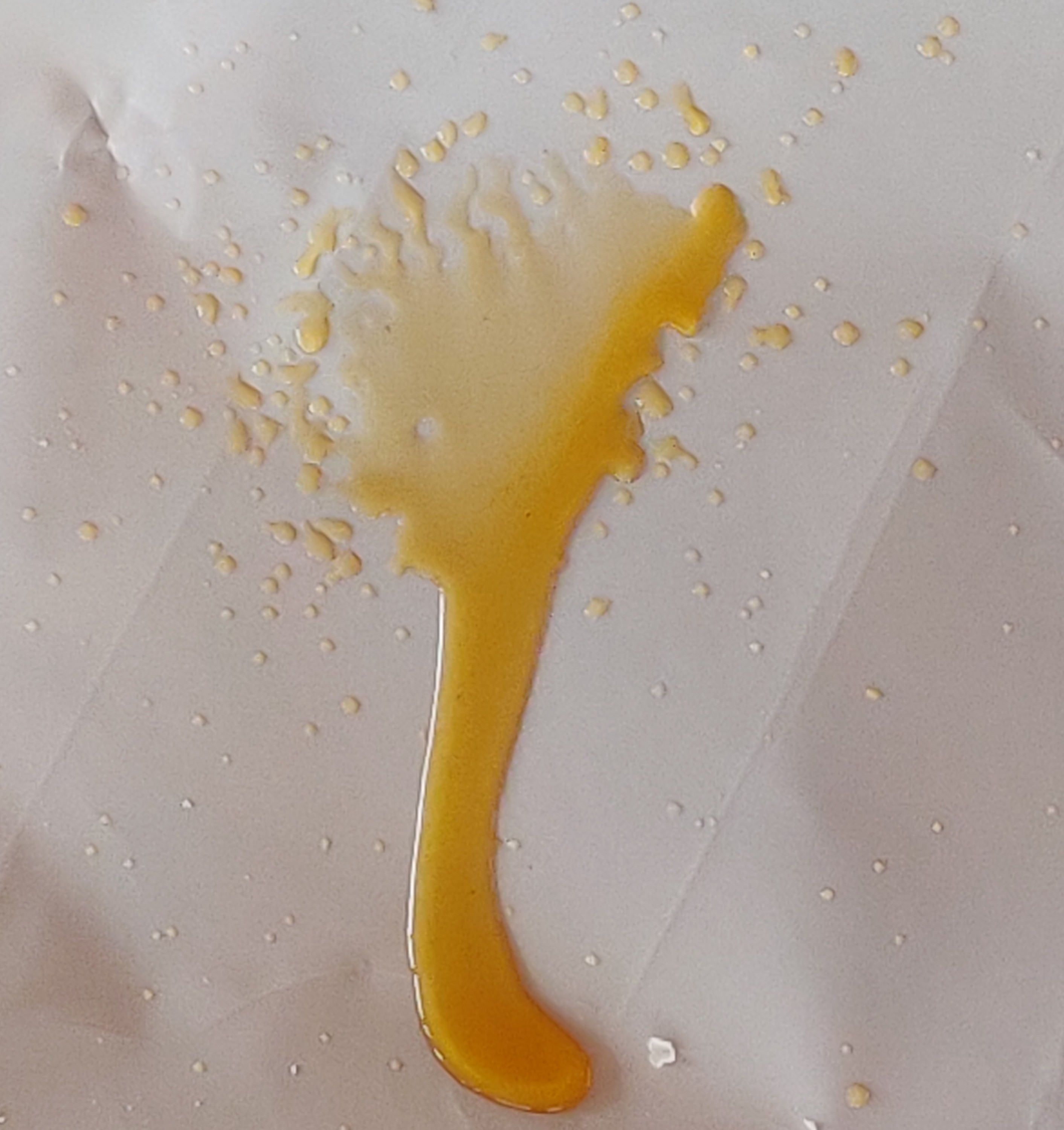 附近专业防水补漏｜附近专业防水公司｜合肥漏水维修公司