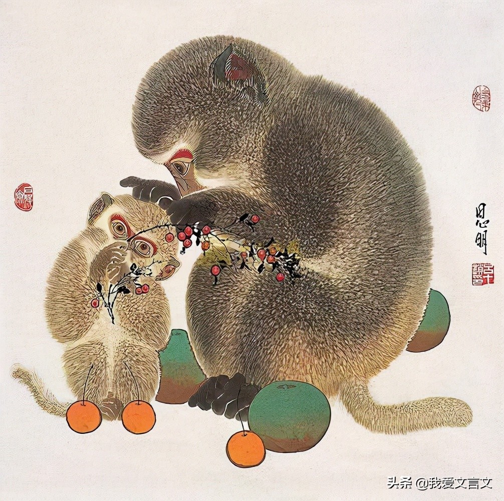 经典文言文赏析 | 朝三暮四