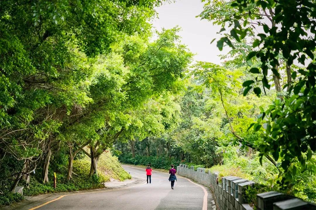 深圳值得征服的10座山，你去过几座？