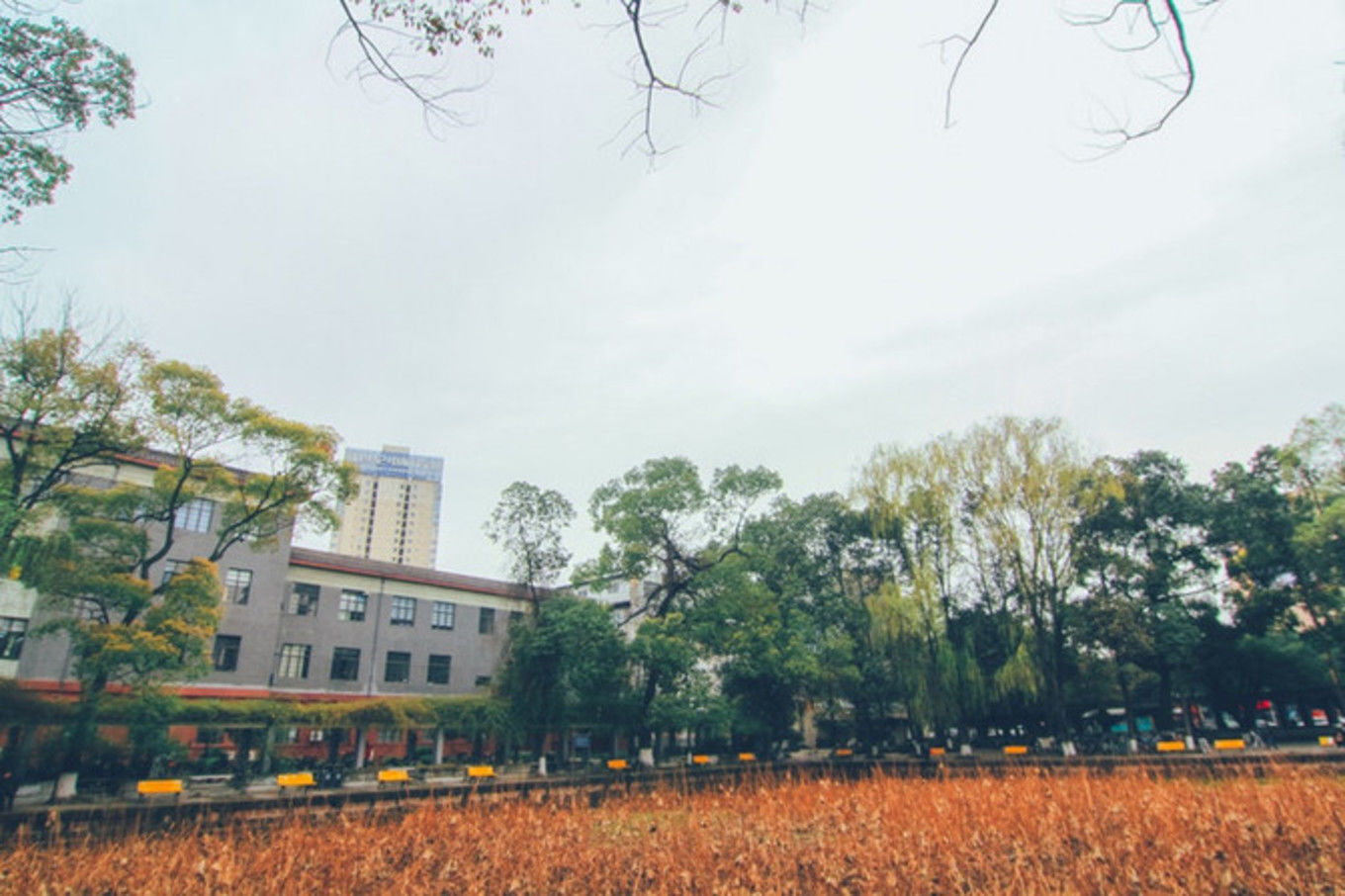 最美校园游——四川大学望江校区