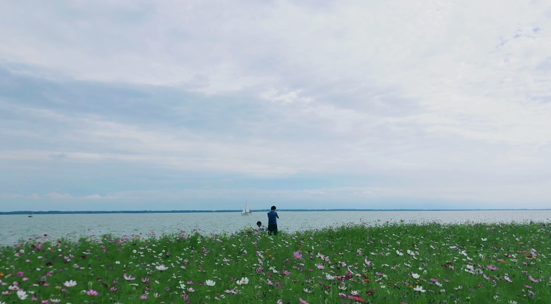 上海淀山湖风景区自驾一日游