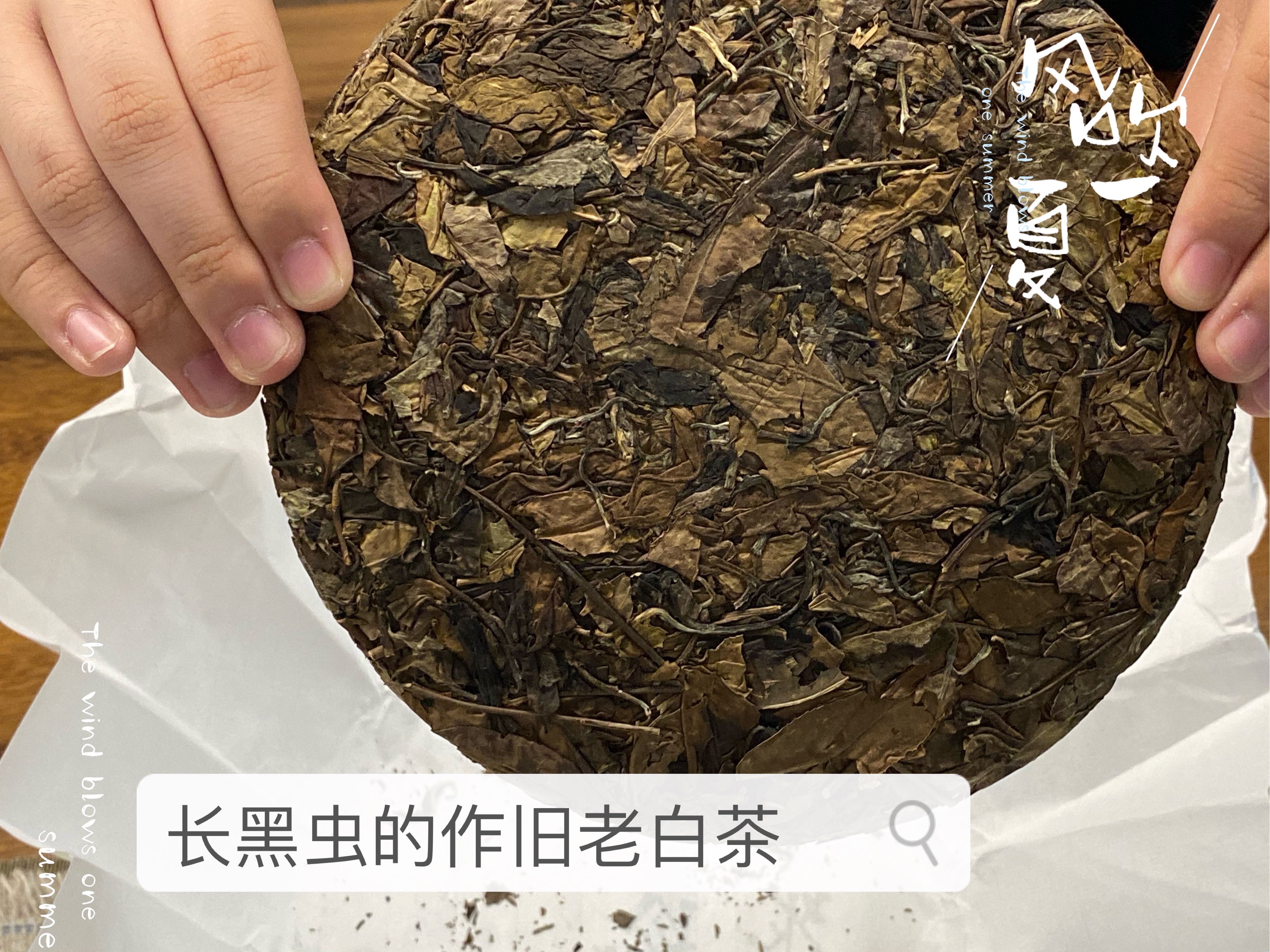 上万元的高档白茶，喝出几十块的廉价味道，怎么了？