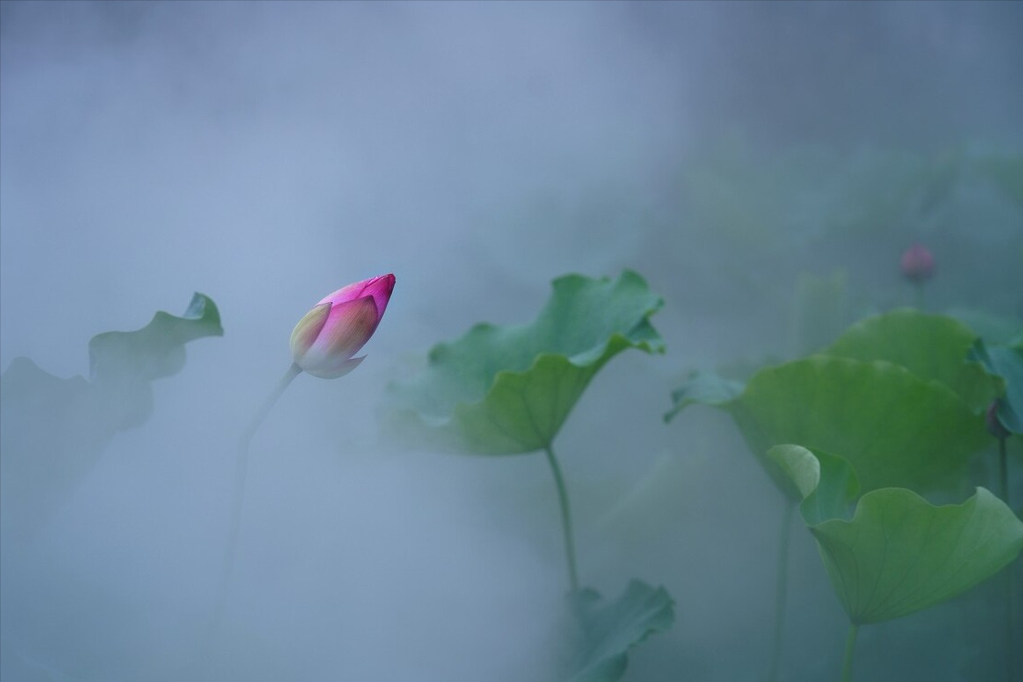 此生有你，胜过万千风景