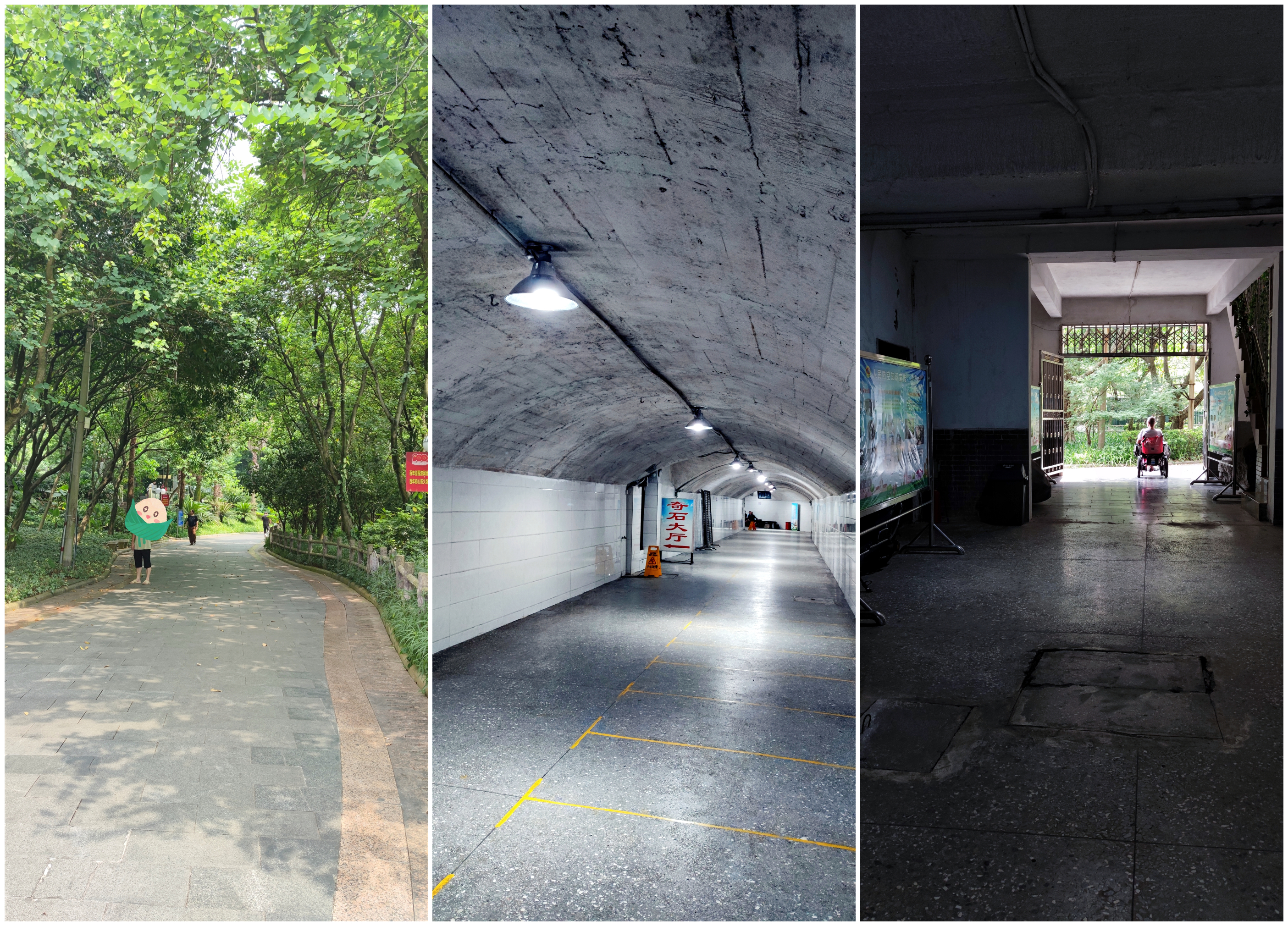 抗日战火狂燃，这个村庄里的“神秘岩洞”，竟藏着黄埔分校的故事