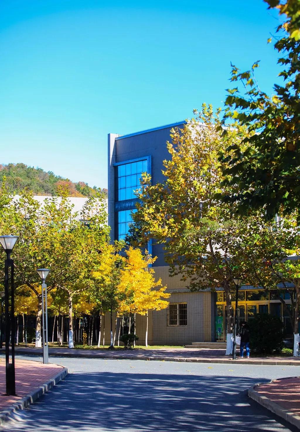 辽宁省民办大学(二)大连东软信息学院