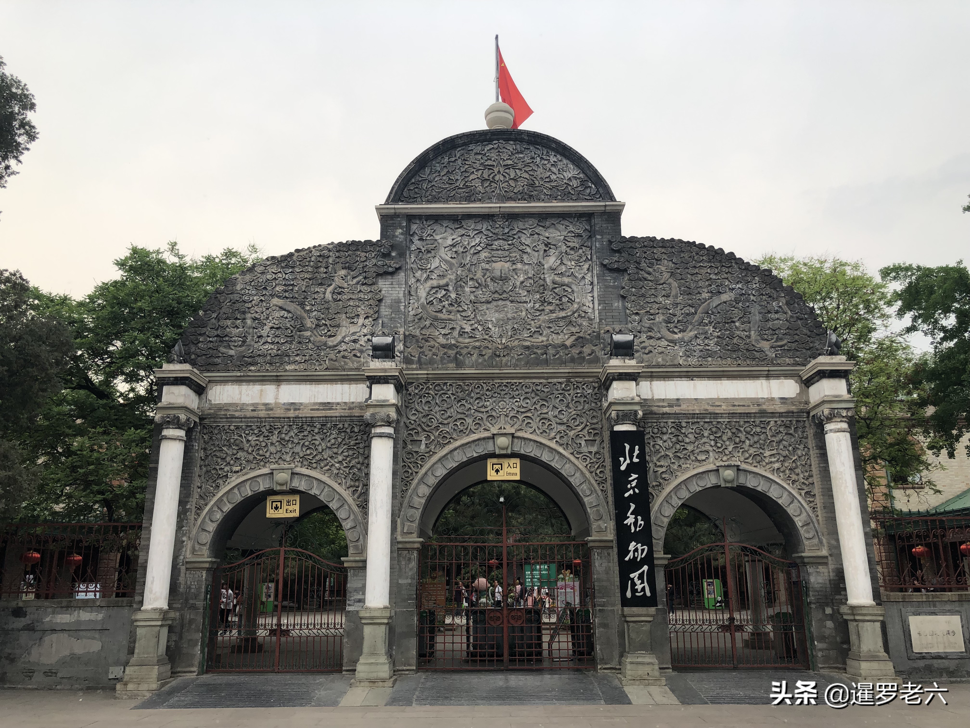 去首都旅游，北京动物园不容错过！门票只要15元，性价比超高！