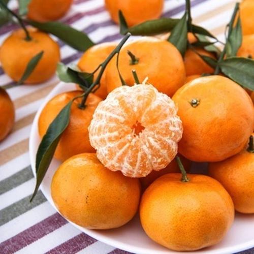 十里不同俗，全国各地拜年风俗大不同，你都见过吗？