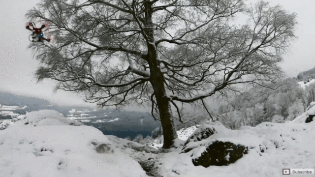 高速无人机独立穿越森林，全程自己规划路线，时速高达40公里