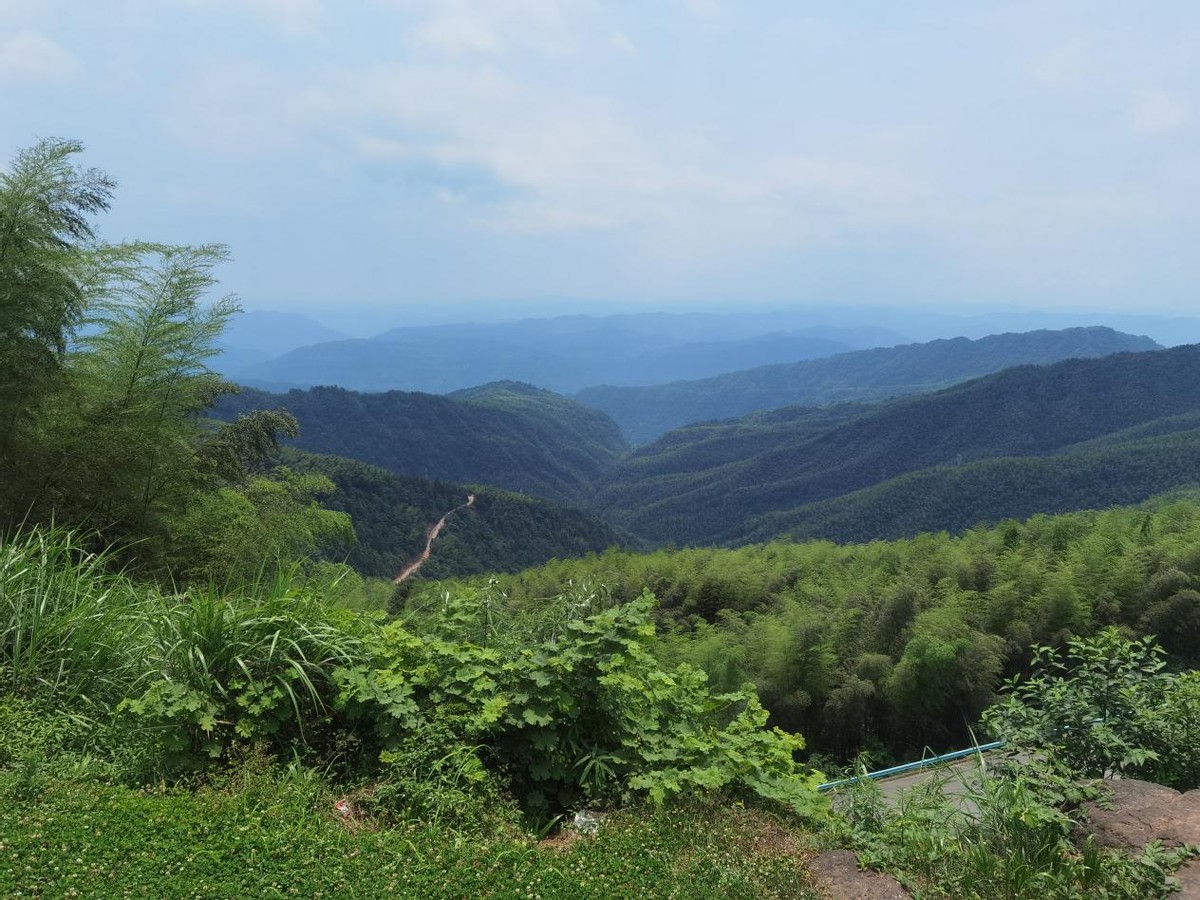 自驾探访天鹅湖，百余公里轻松搞定