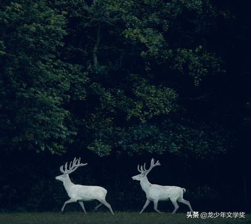 古寺——河北唐山市实验学校