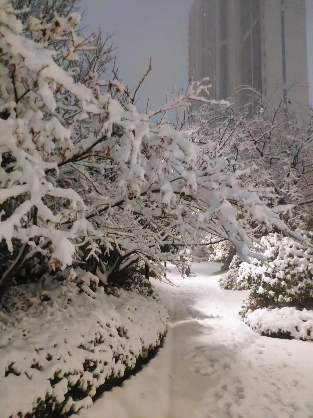人群中有人说：看，那个女孩又来了，年年如此为了什么？？