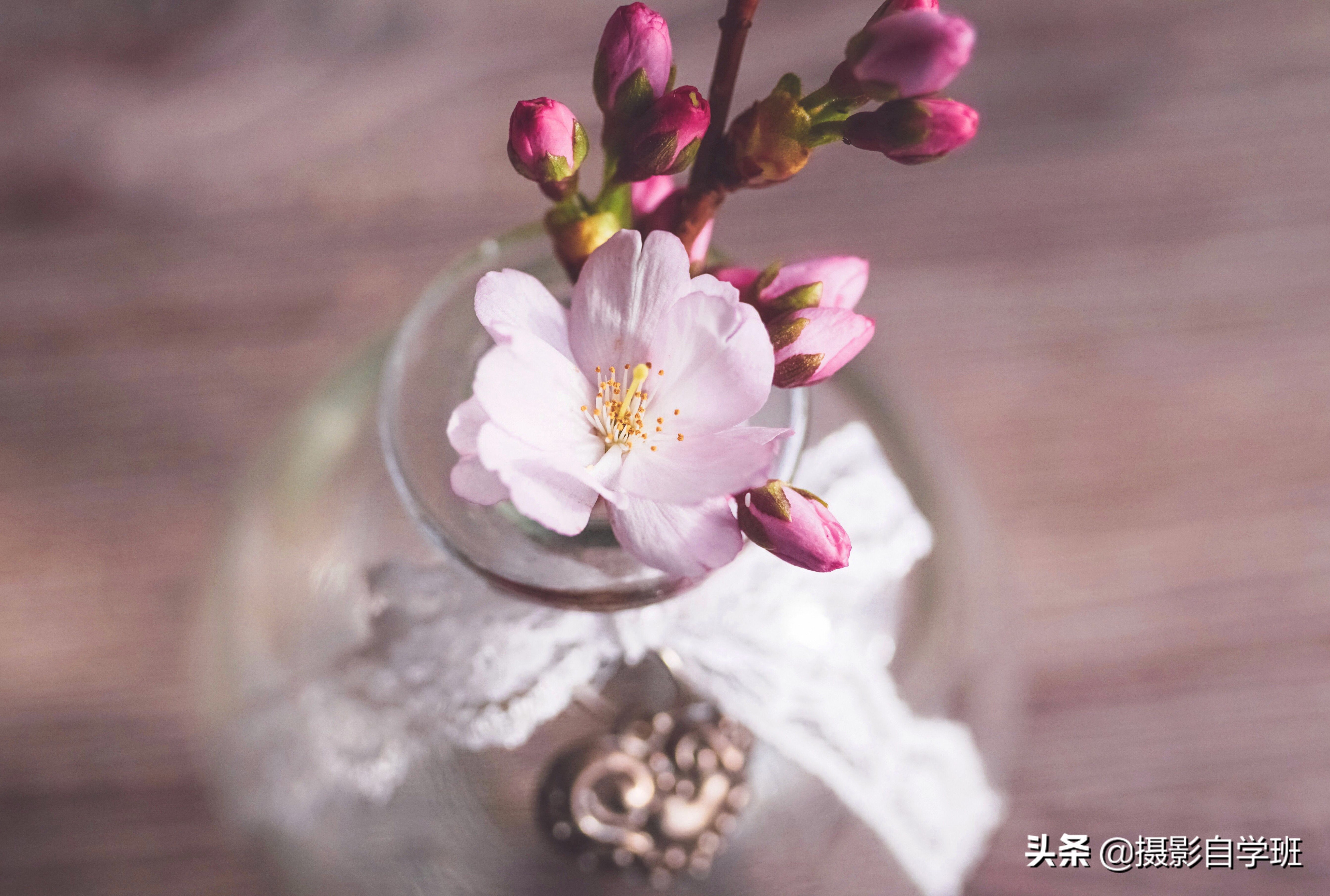 艺无限摄影 – 美女图片套图_风光摄影作品图集_美女摄影作品欣赏