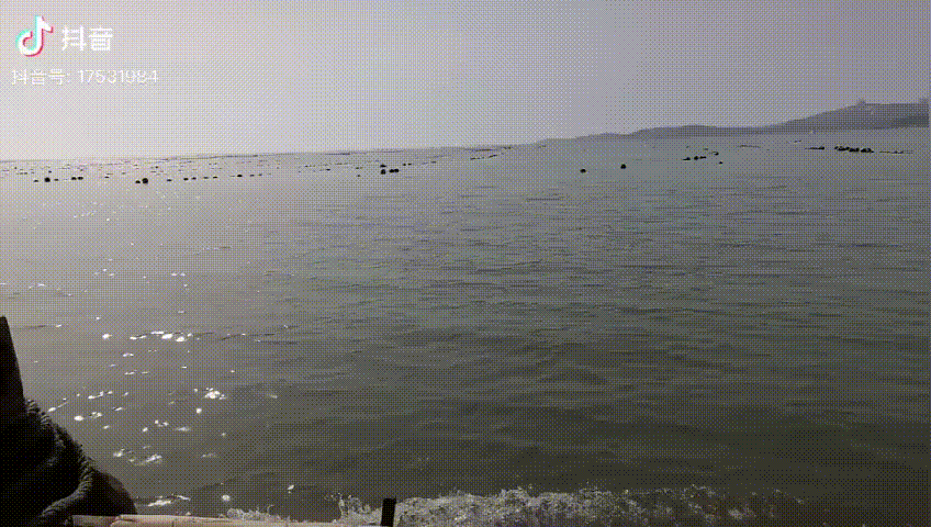 渔村小马在抖音带你去赶海，浪漫就是：说不定今天捉到啥