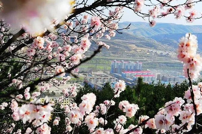 宁夏自驾游攻略来了！银川周边这些地方都挺好~