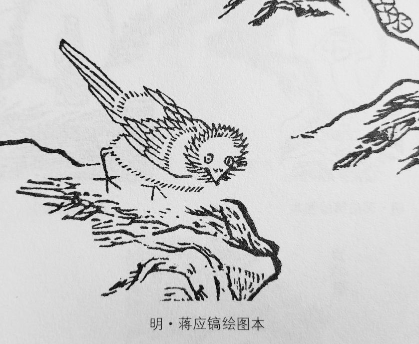 山海经中山经中的山川大河 奇禽怪兽 奇草异树（三）