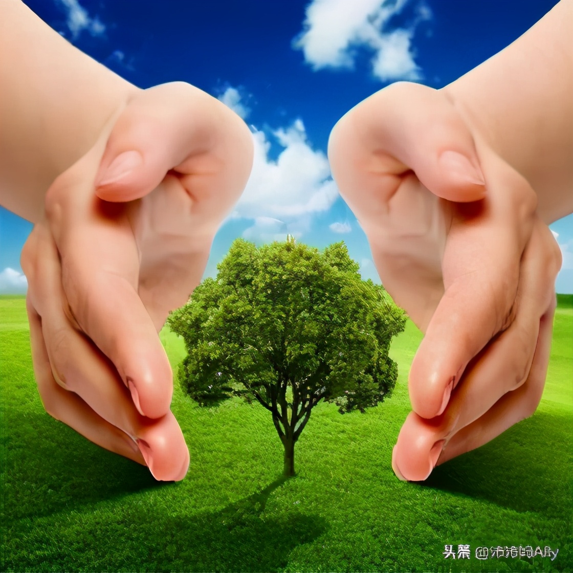 女儿年级统考，语文成绩引发风波