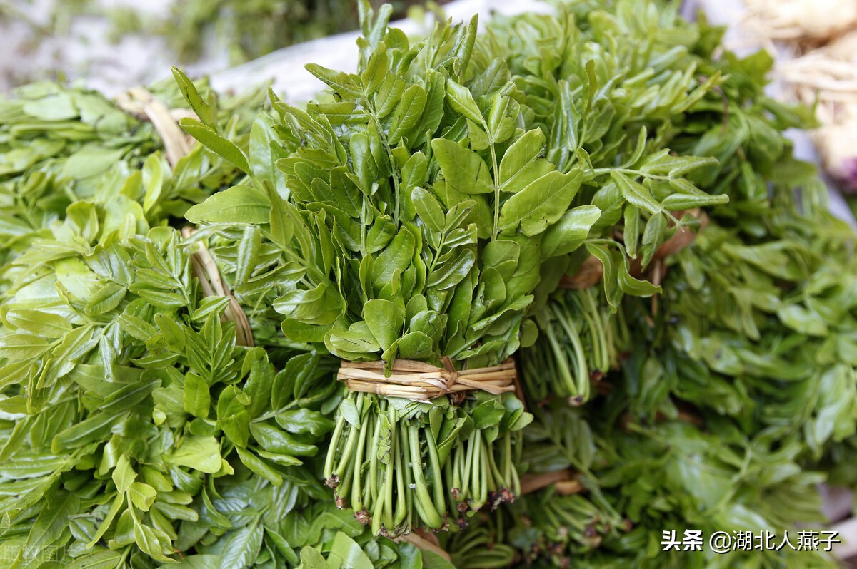 65種野菜圖片大全,教你認識不同的野菜和吃法,你想要的野菜都有