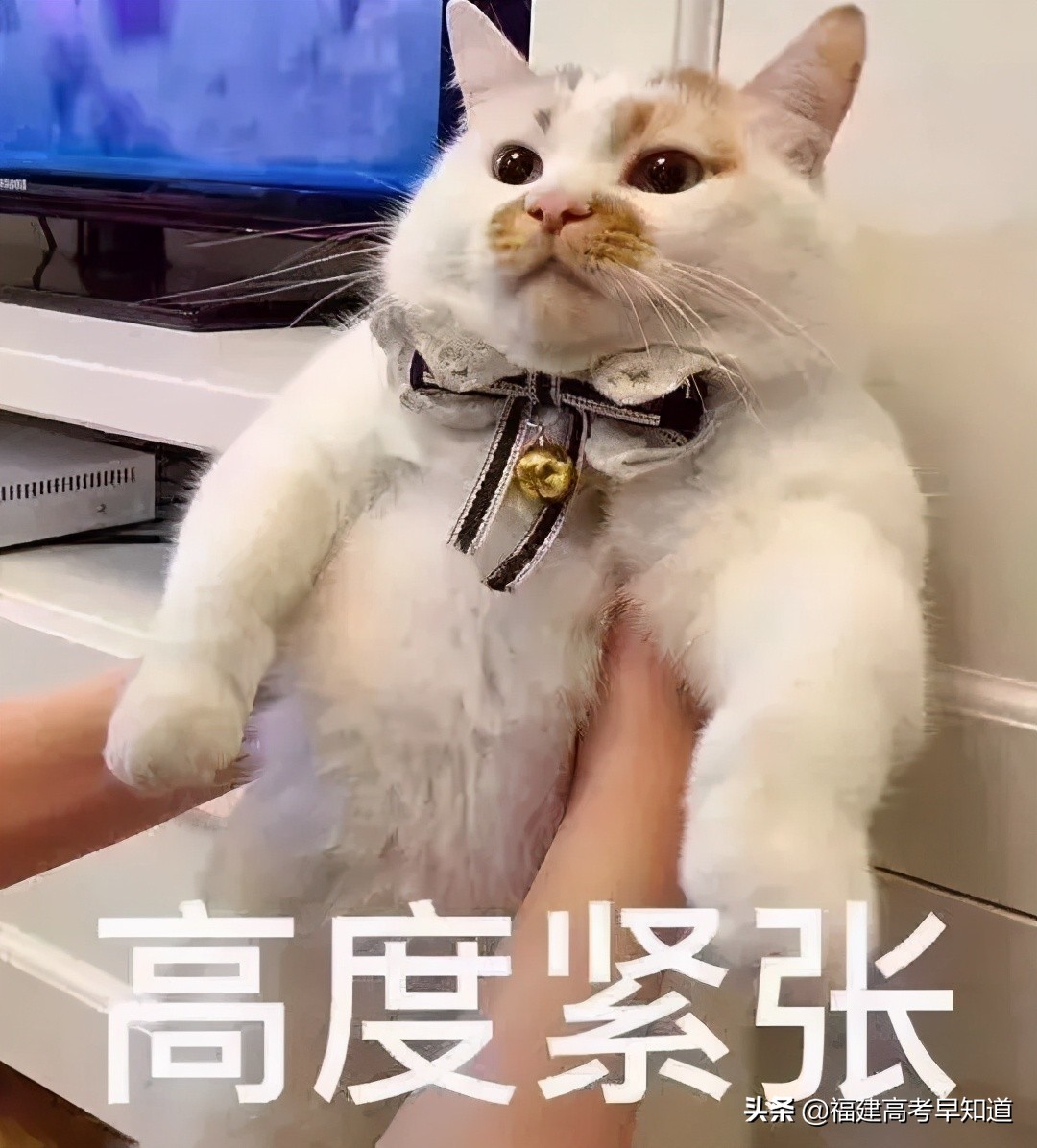 高考难度地图出炉！2021年上大学最难的省份！福建排第几？