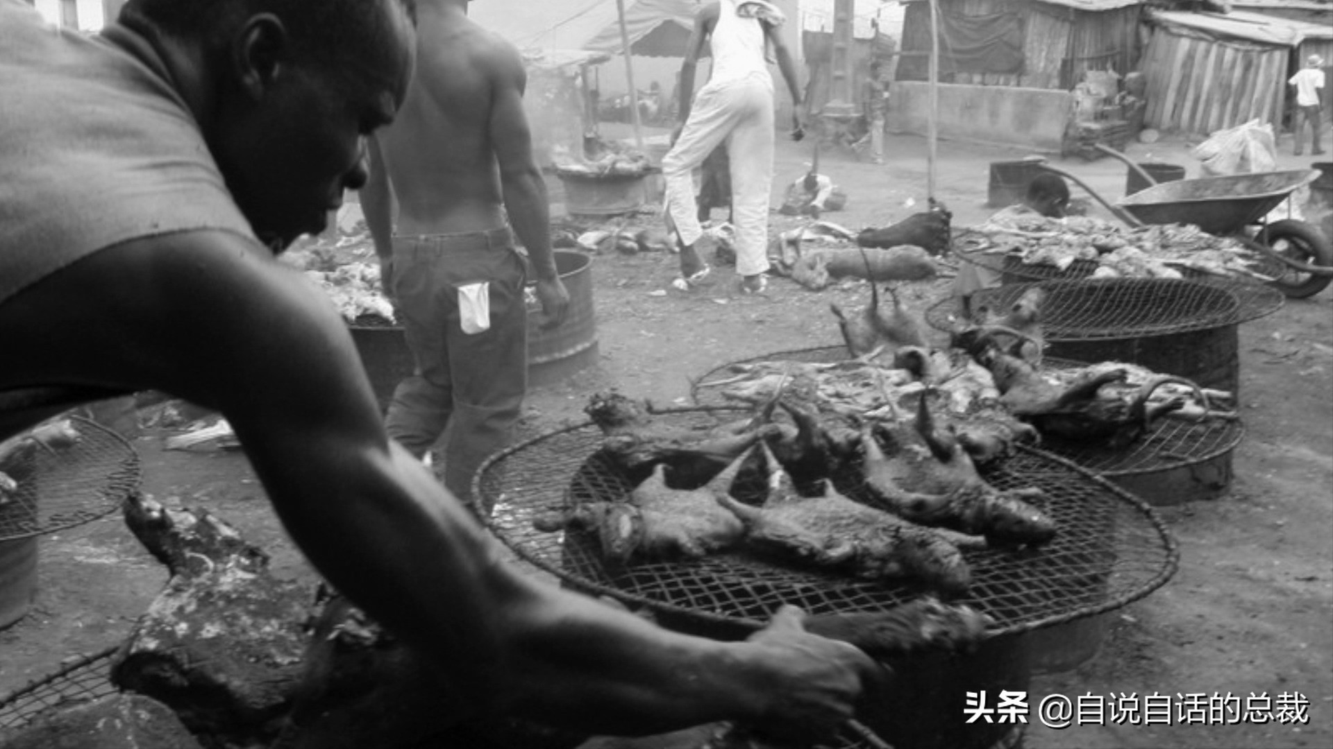 埃博拉：人类的诅咒，你的身体如何对抗它，它到底有多恐怖