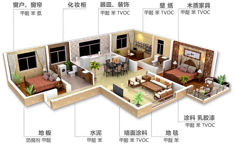 房子刚装修完，高效去甲醛的方法给你