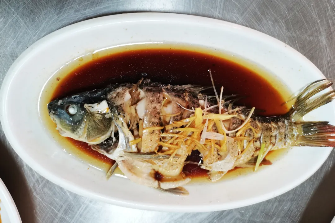 洛阳新艺学院，烹饪专业技能展示，色香味俱全