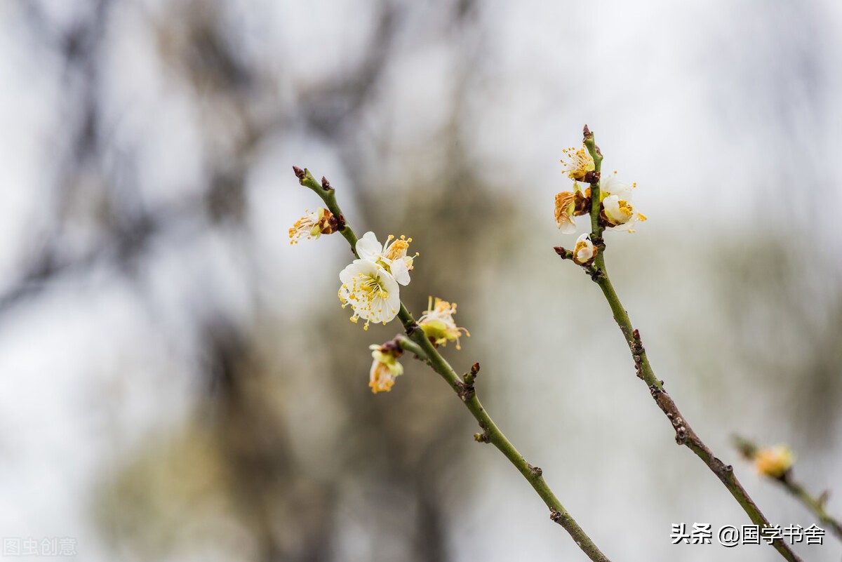 人皆有底线，不可逾越之原则也。