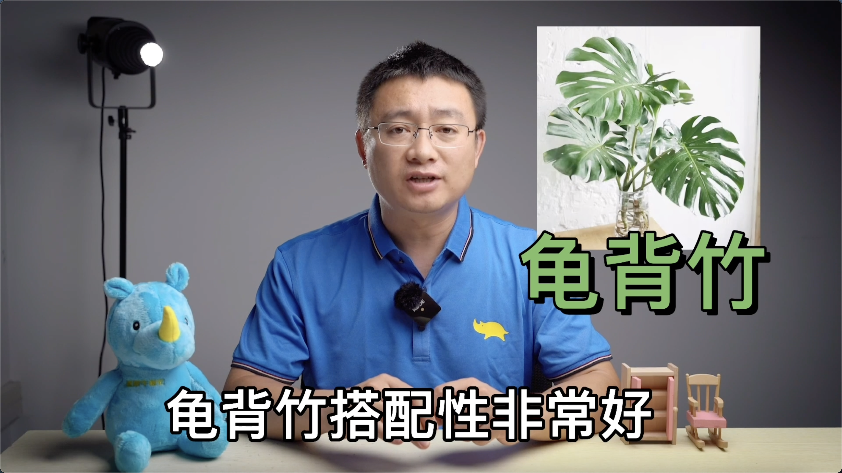 适合搬家送的绿植（适合搬新家的绿植）