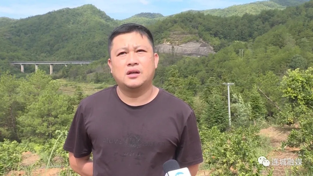 「全面推進鄉村振興」廟前鎮水北村：150畝贛南臍橙初掛果 扮綠山頭助農增收