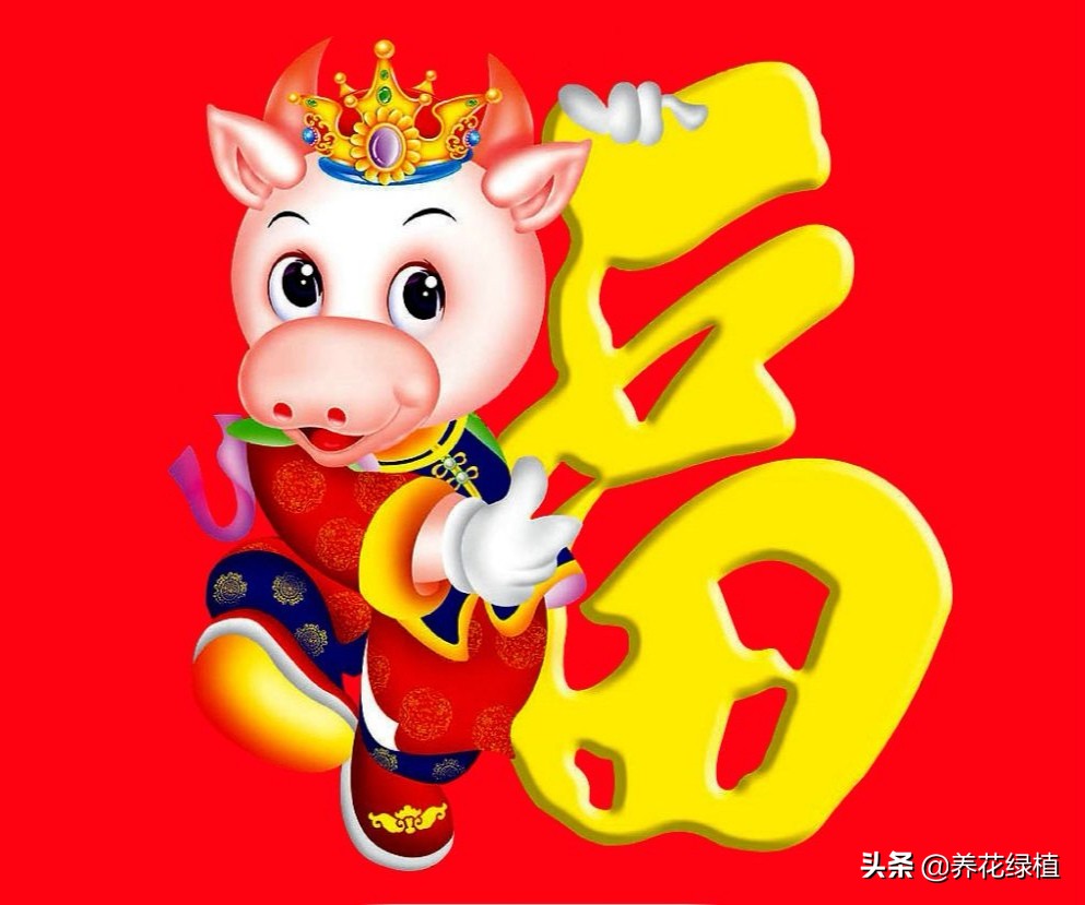 明年是辛丑年,俗语:"金牛碰寡年,米缸虫必见",是什么意思?