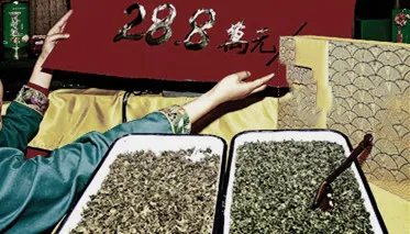 骑虎难下!高端普洱茶严重饱和,天价冰岛老班章还能撑多久?