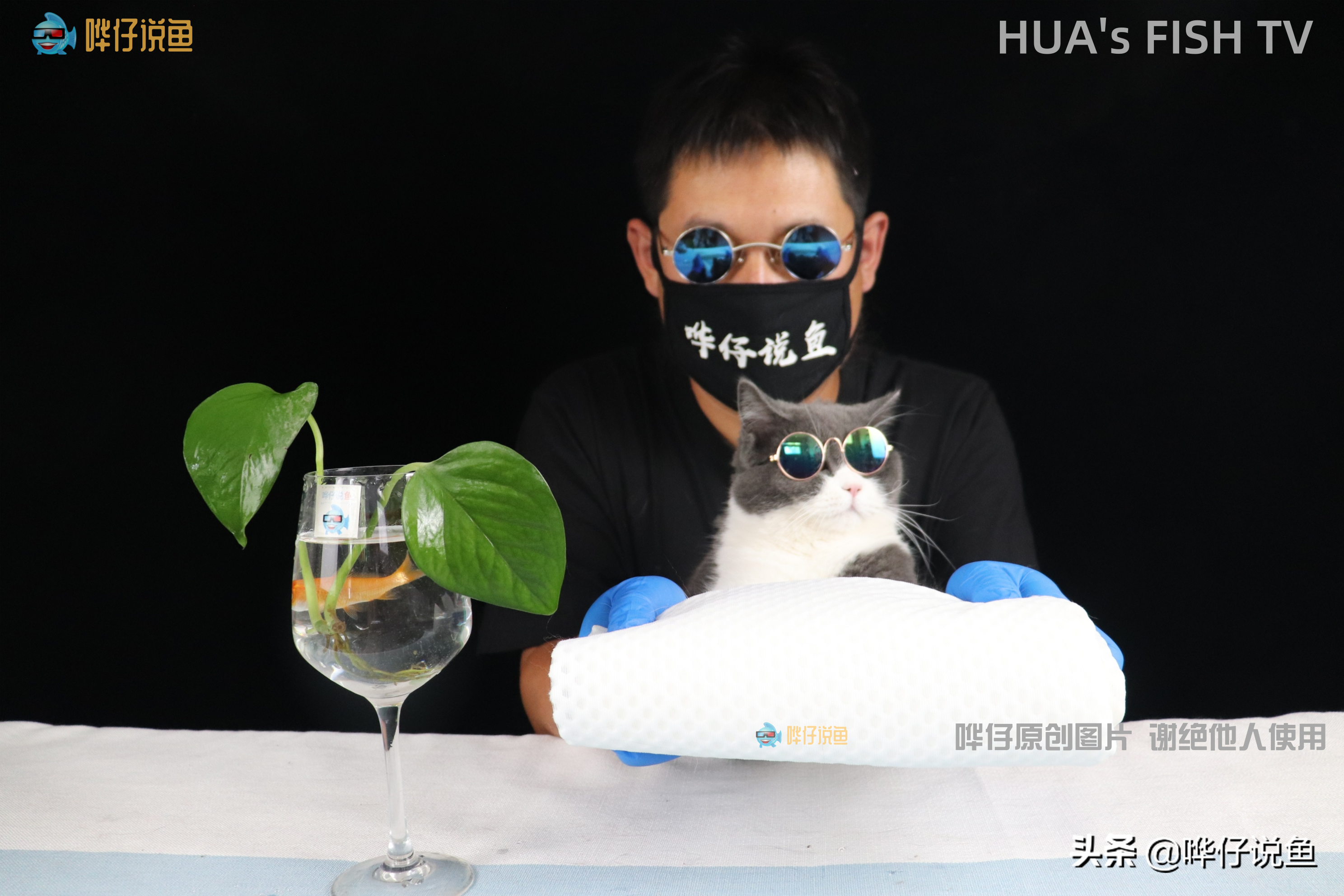 如何让鱼缸里漂浮的脏东西消失？彻底去除没办法，挑战极限有妙招