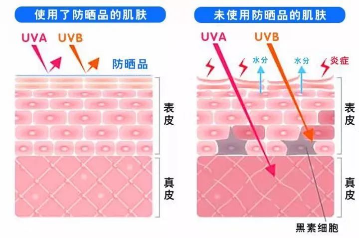 关于防晒，你想知道的都在这里了