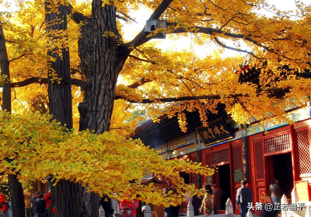 红螺赋说｜碧波藏古寺，翠色掩春山