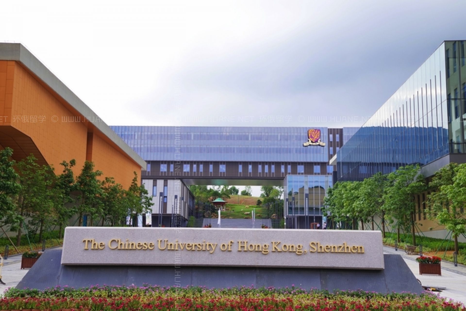 广东省提前批投档线公布，港中深超过港中文，公费师范生热度适中