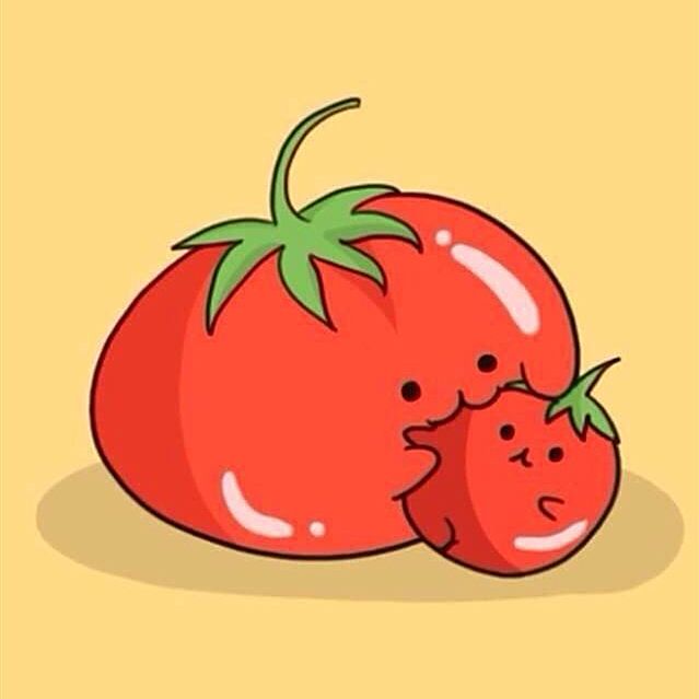 番茄看圈