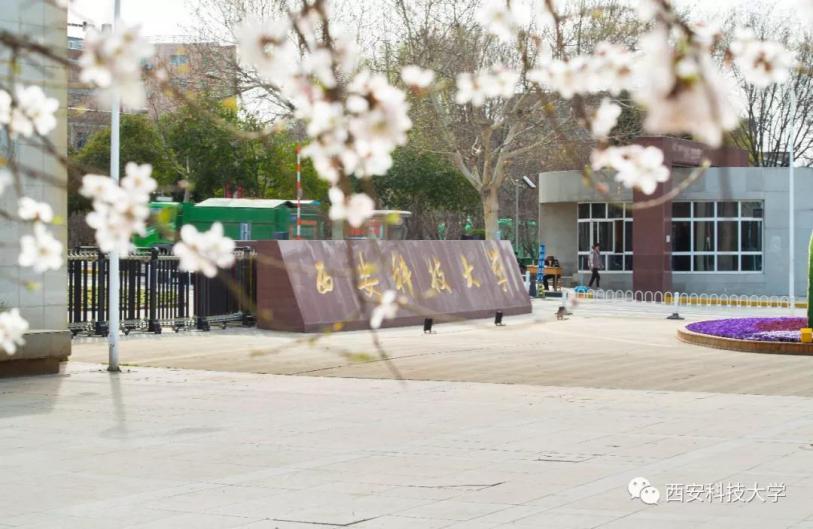 来了！西科大新生班级、学号一键查询，这3个名字还能享受专人服务