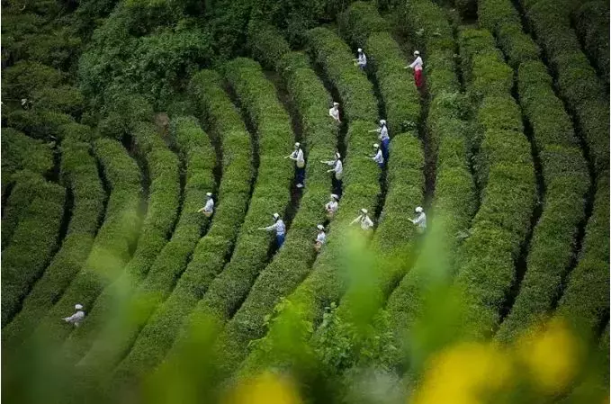 陕南居然有一个"小香港"，长得像重庆，却还说着四川话