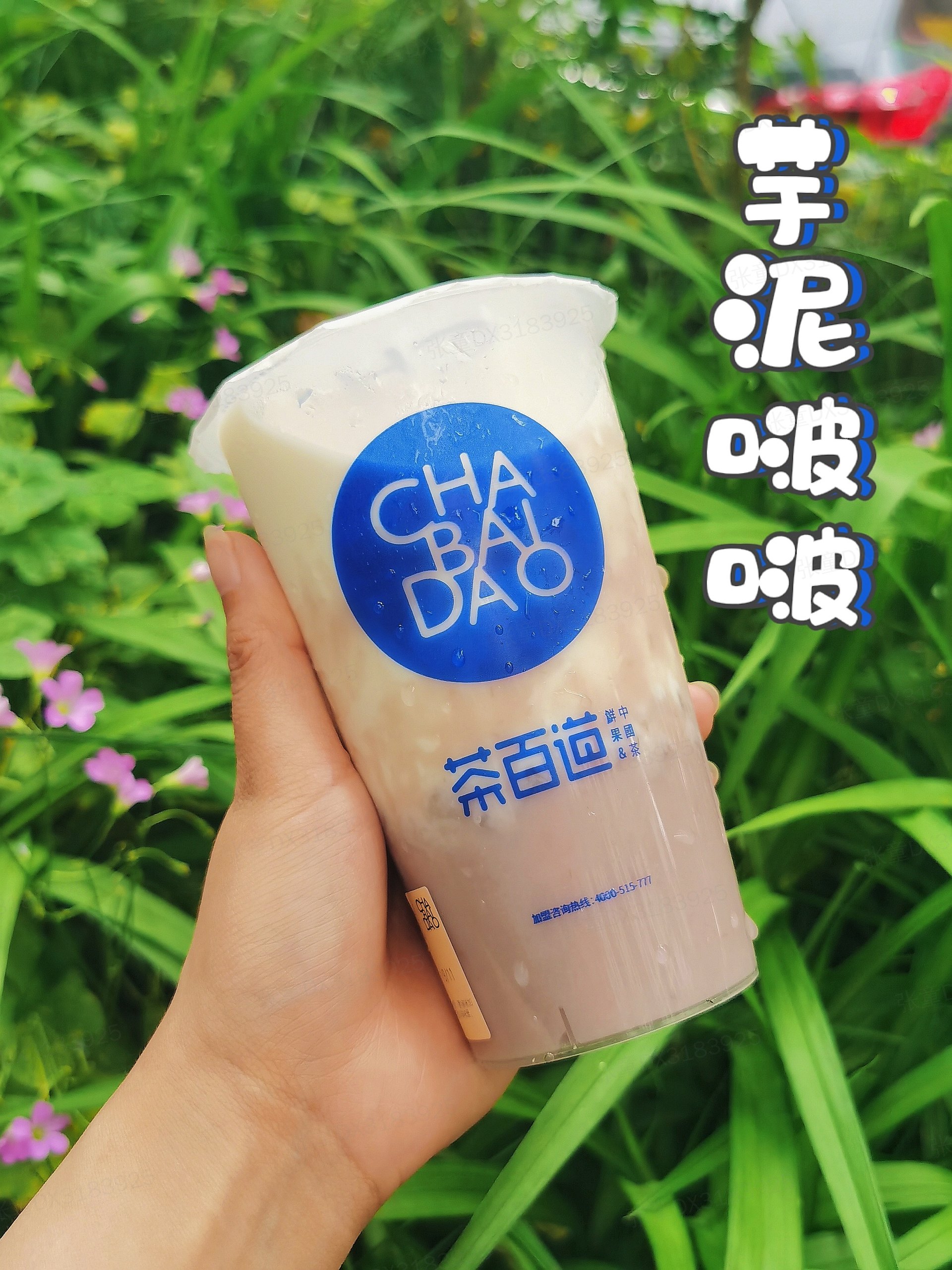 这些茶百道必点的招牌奶茶茶百道哪些奶茶好喝