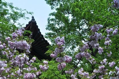 这21所省属师范大学排名前三，值得报考！附 校友会排名省前3强